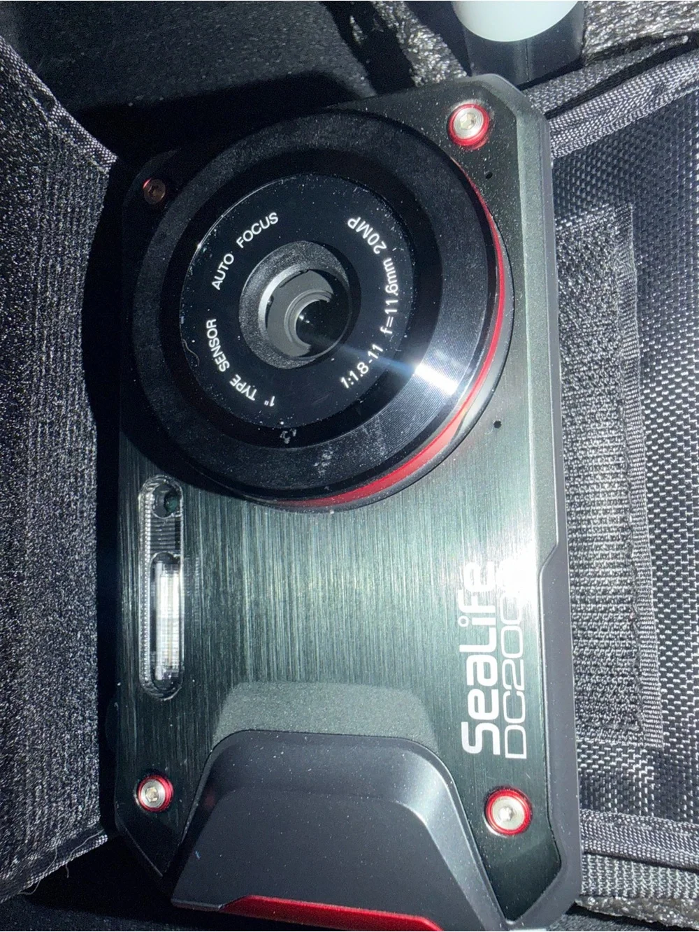Alife Black and Red Underwater Camera with Red Accent